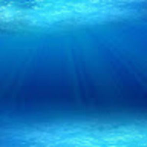 Meet your Posher, Helen